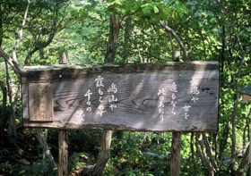 荷坂峠の見どころ 沖見平(おきみだいら)