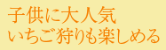 子供に大人気　いちご狩りも楽しめる