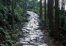 世界遺産　熊野古道・馬越峠