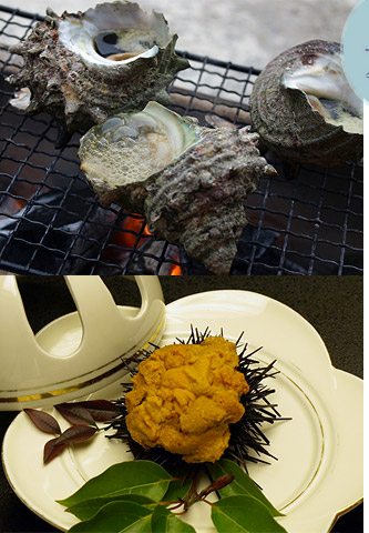 旬の貝 お造りと豪快焼き