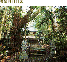 豊浦神社社叢