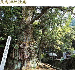 長島神社社叢