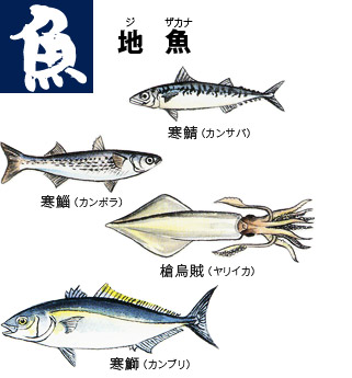 カンサバ、カンボラ、ヤリイカ、カンブリ