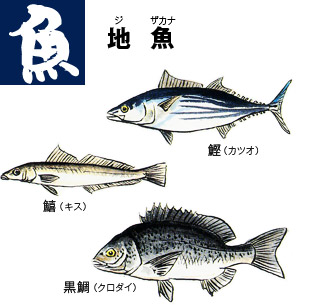 カツオ、キス、クロダイ