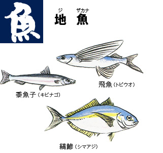 トビウオ、キビナゴ、シマアジ