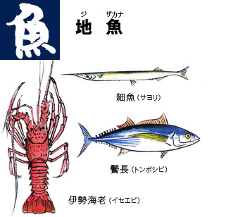 サヨリ、トンボシビ、イセエビ